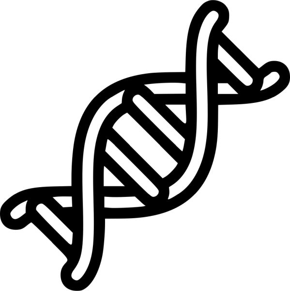 DNA PNG透明背景免抠图元素 素材中国编号:48610