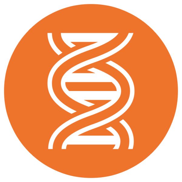DNA PNG透明背景免抠图元素 素材中国编号:48613