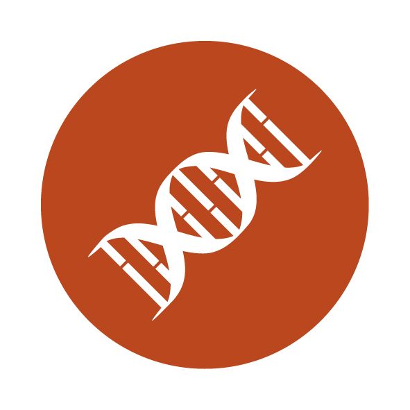 DNA PNG透明背景免抠图元素 16图库网编号:48615