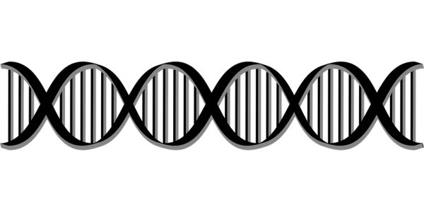 DNA PNG透明背景免抠图元素 16图库