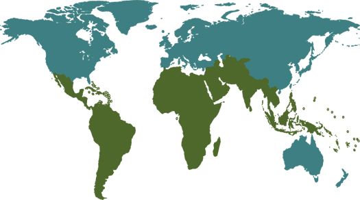 世界地图PNG透明背景免抠图元素 素