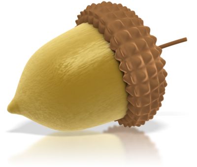 Acorn PNG image, free, acorns 图片编号:741