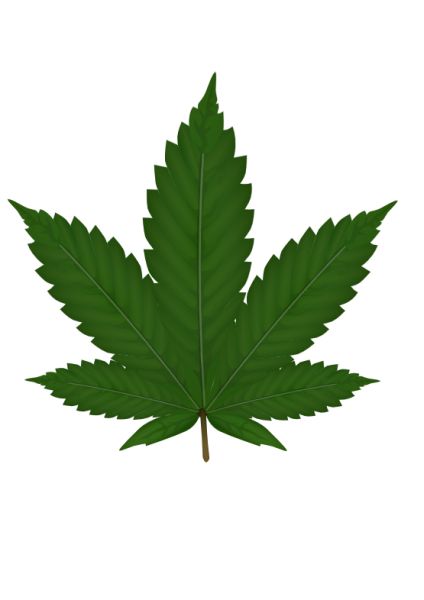 大麻PNG透明背景免抠图元素 16图库网编号:32011