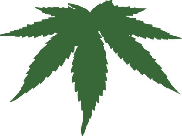 大麻PNG透明背景免抠图元素 16图库网编号:32012