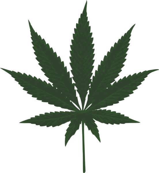 大麻PNG透明背景免抠图元素 素材中