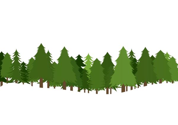森林 PNG免抠图透明素材 16设计网编号:104646