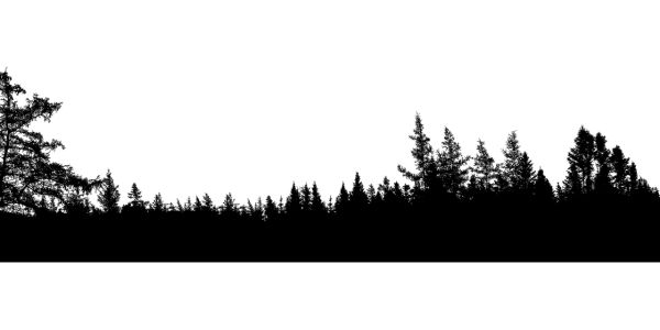 森林 PNG免抠图透明素材 普贤居素材编号:104651