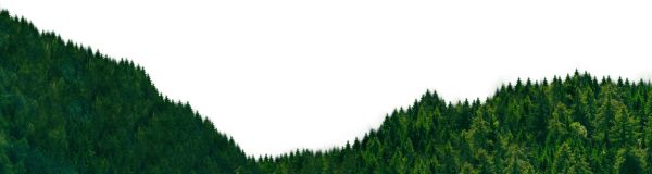 森林 PNG免抠图透明素材 普贤居素材编号:104682
