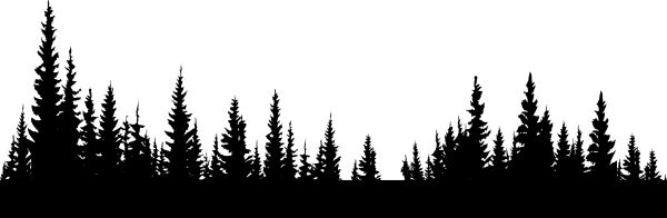 森林 PNG免抠图透明素材 16设计网编号:104641