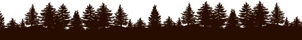 森林 PNG免抠图透明素材 16设计网编号:104690