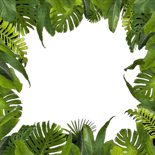丛林 PNG透明元素免抠图素材 16素材网编号:104599
