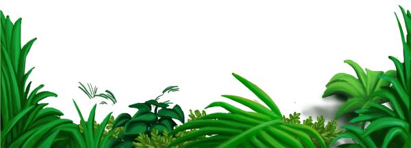 丛林 PNG透明背景免抠图元素 素材