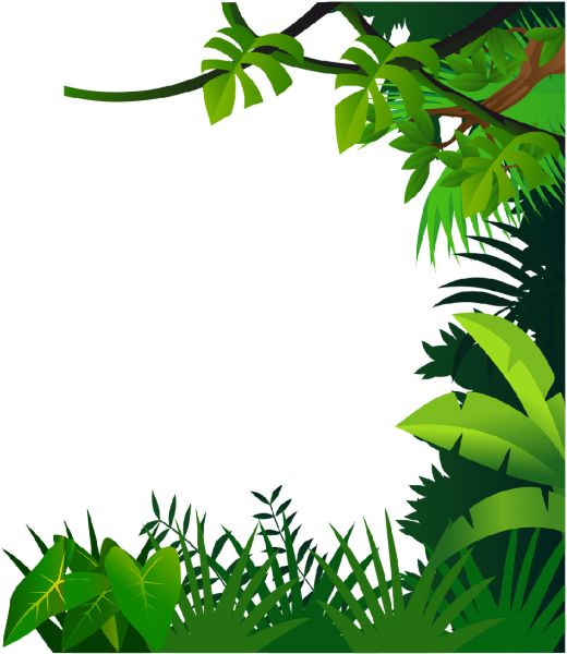 丛林 PNG透明背景免抠图元素 16图