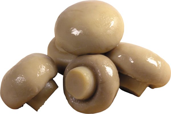 蘑菇PNG透明背景免抠图元素 素材中国编号:3185