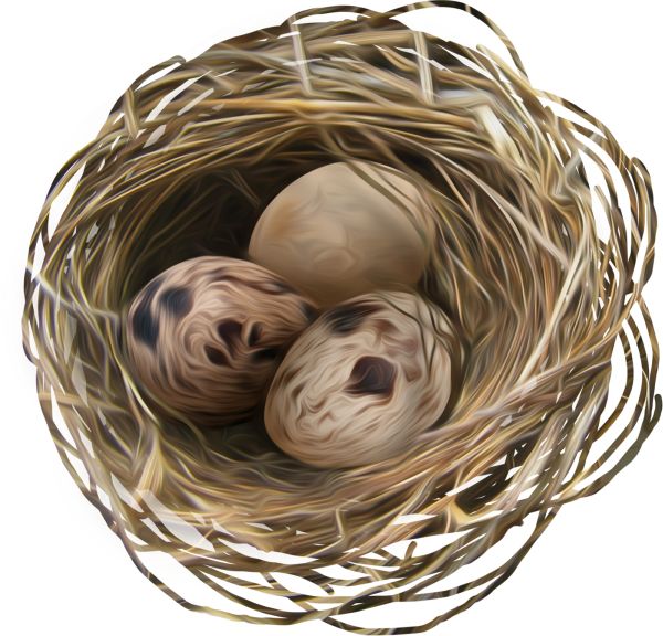 Nest PNG免抠图透明素材 素材天下编号:67251