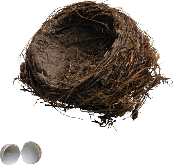 Nest PNG透明背景免抠图元素 素材