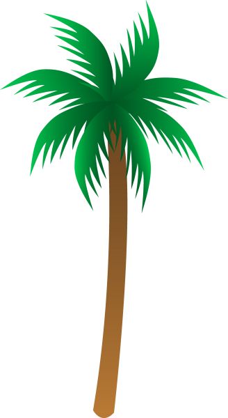 棕榈树 PNG透明背景免抠图元素 素材中国编号:2498