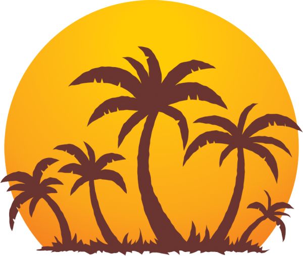 棕榈树 PNG免抠图透明素材 16设计网编号:93255