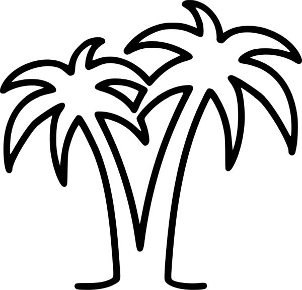 棕榈树 PNG免抠图透明素材 普贤居素材编号:93259