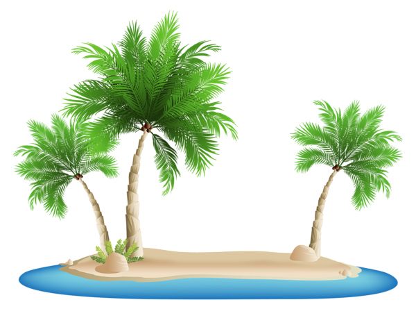 棕榈树 PNG免抠图透明素材 普贤居素材编号:93302