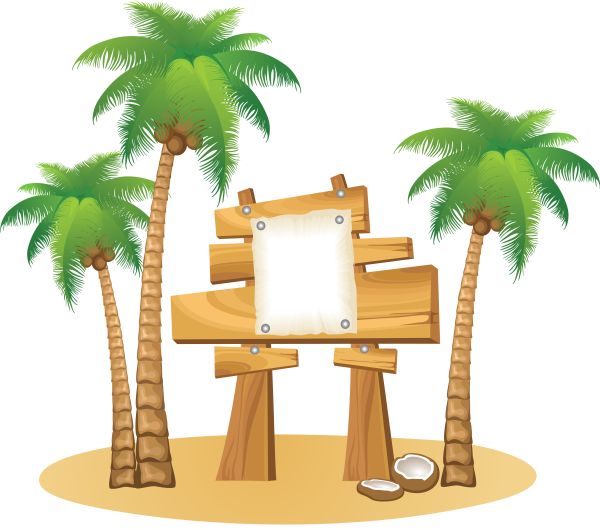 棕榈树 PNG免抠图透明素材 16设计网编号:93323