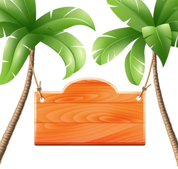 棕榈树 PNG透明背景免抠图元素 16图库网编号:93324