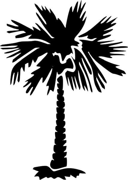棕榈树 PNG透明背景免抠图元素 16图库网编号:93330