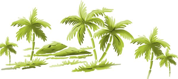 棕榈树 PNG透明背景免抠图元素 16图库网编号:93339