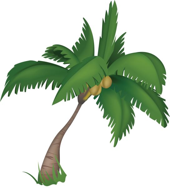 棕榈树 PNG透明元素免抠图素材 16素材网编号:93345