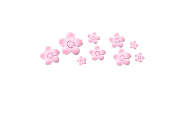 樱花 PNG免抠图透明素材 16设计网编号:49798