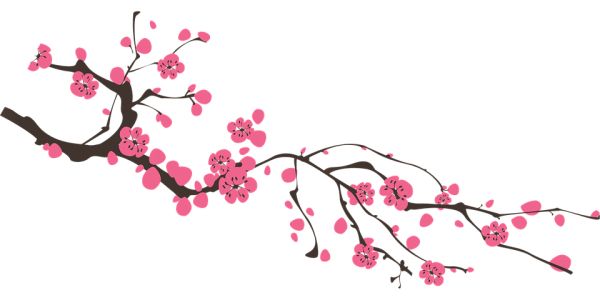 樱花 PNG透明背景免抠图元素 素材中国编号:49818