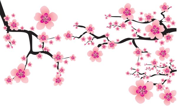 樱花 PNG透明背景免抠图元素 素材中国编号:49788