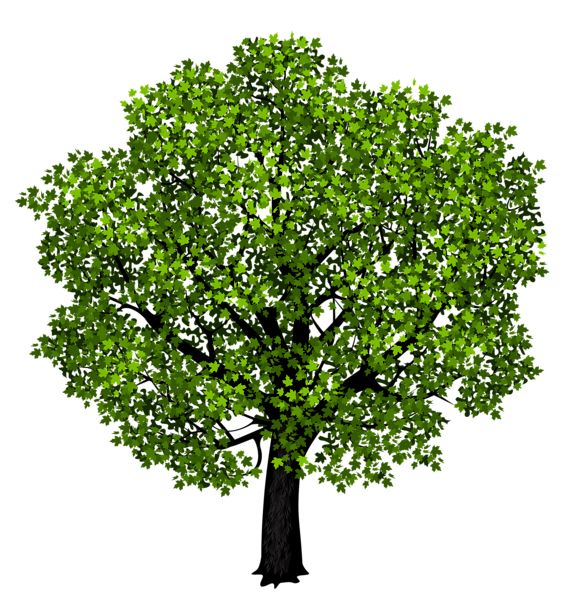 树 PNG透明背景免抠图元素 16图库网编号:92719