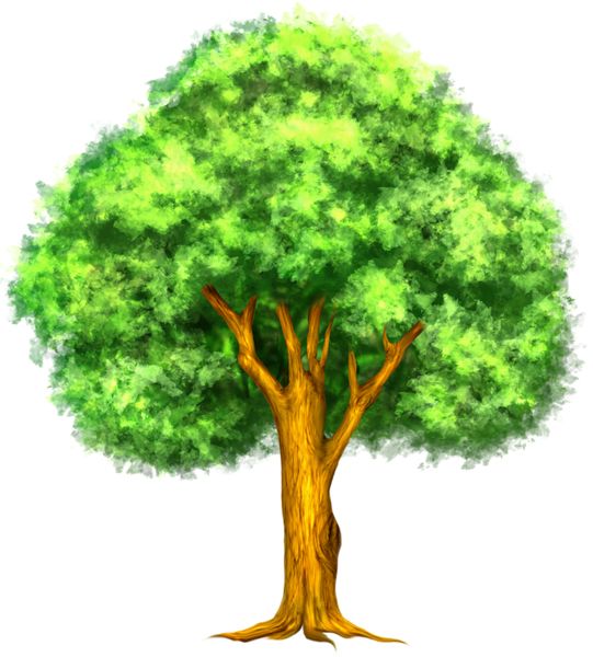 树 PNG透明背景免抠图元素 16图库网编号:92720