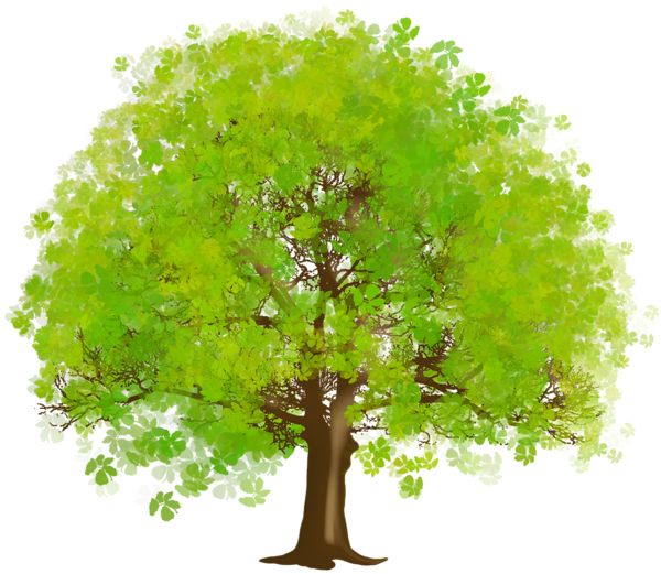 树 PNG透明元素免抠图素材 16素材网编号:92730