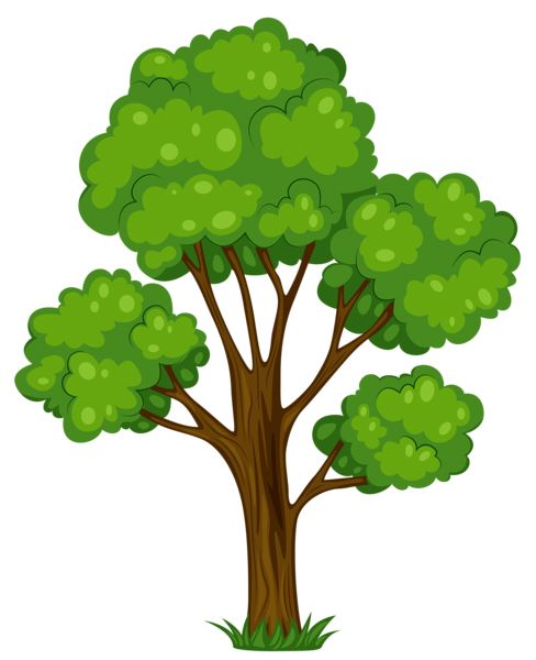 树 PNG透明背景免抠图元素 16图库网编号:92738