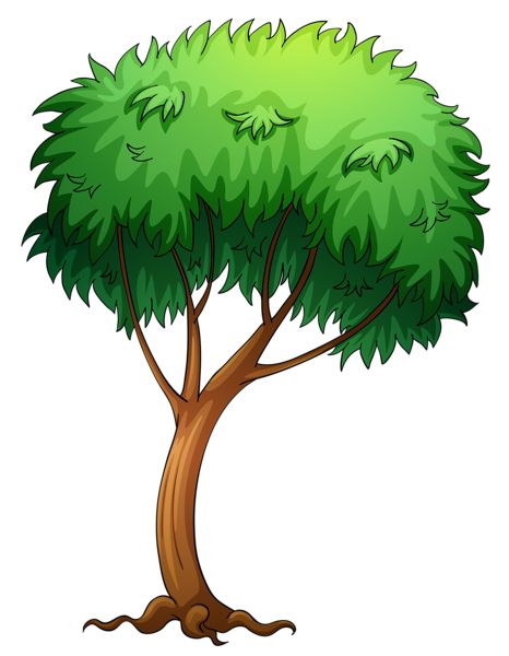 树 PNG透明背景免抠图元素 16图库网编号:92739