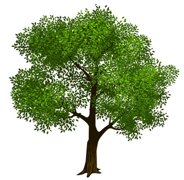 树 PNG免抠图透明素材 16设计网编号:92748