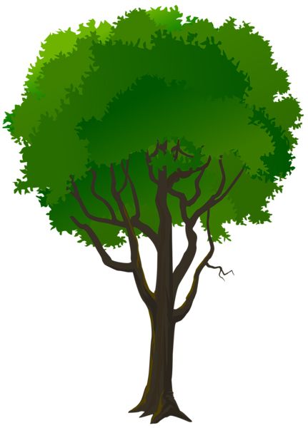 树 PNG免抠图透明素材 16设计网编号:92756