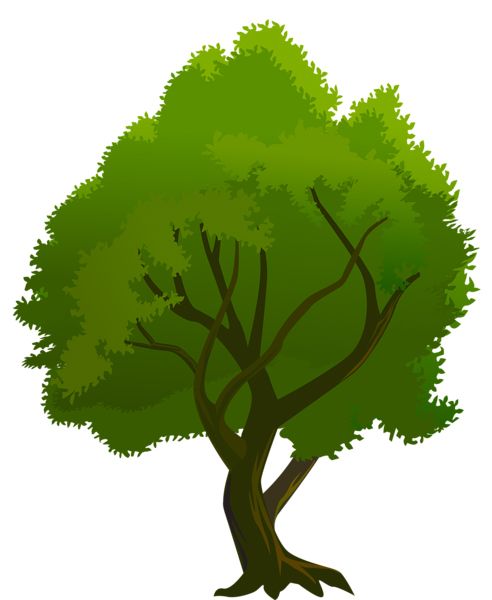树 PNG透明背景免抠图元素 16图库网编号:92759