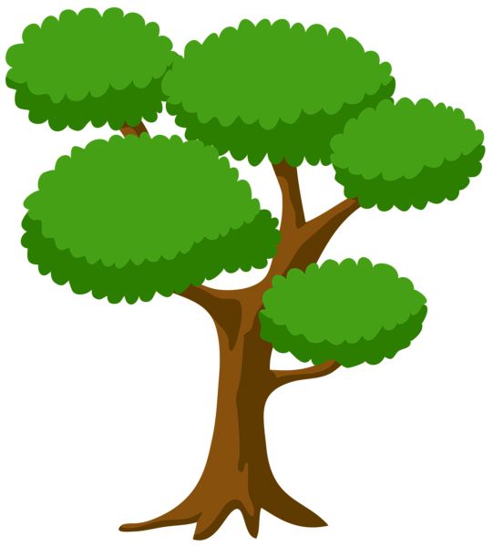 树 PNG透明背景免抠图元素 16图库网编号:92760