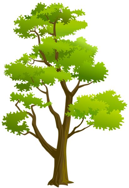 树 PNG透明背景免抠图元素 素材中国编号:92761