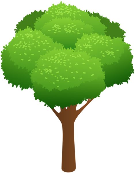 树 PNG透明背景免抠图元素 16图库网编号:92768