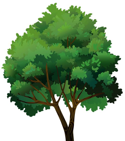 树 PNG透明背景免抠图元素 16图库网编号:92771