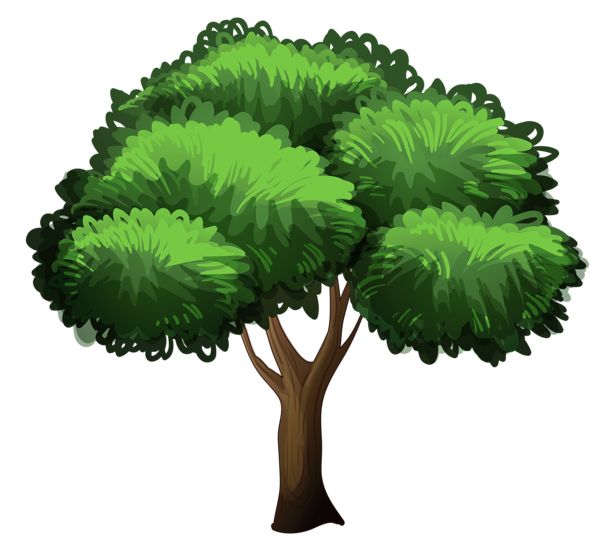 树 PNG透明背景免抠图元素 16图库网编号:92773