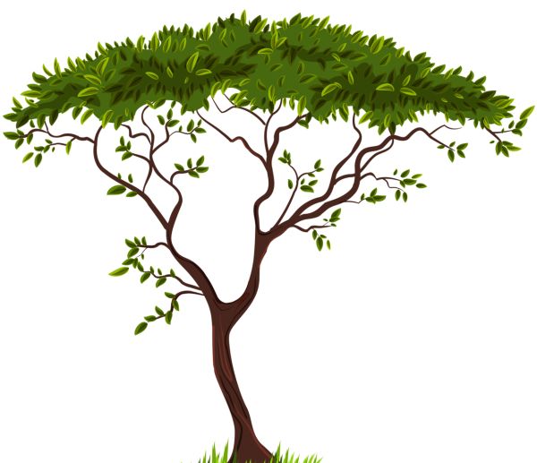 树 PNG透明背景免抠图元素 16图库网编号:92778