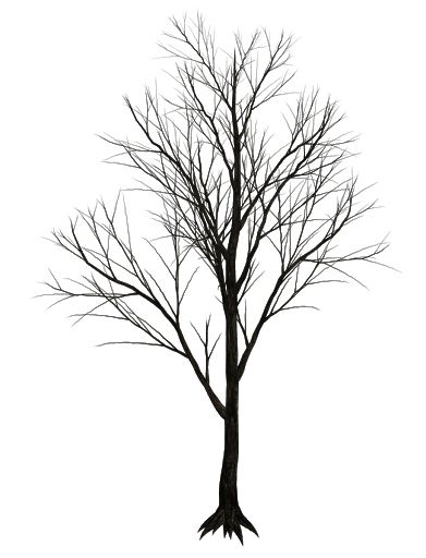 树 PNG免抠图透明素材 素材天下编号:92787