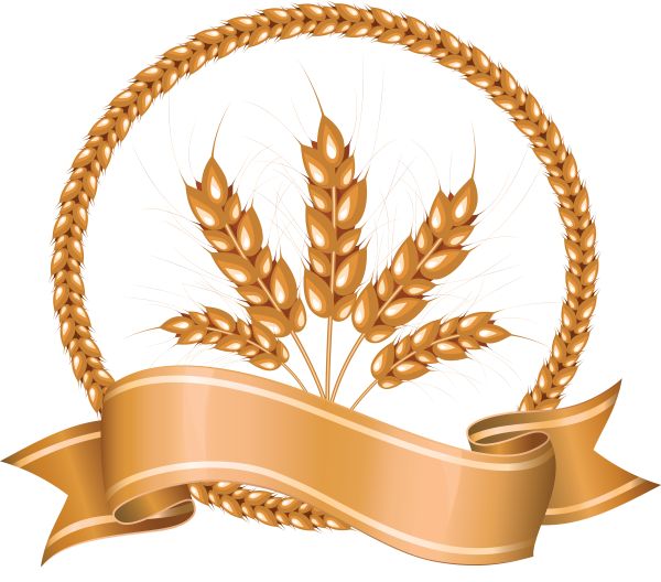 小麦 PNG免抠图透明素材 素材中国编号:36331