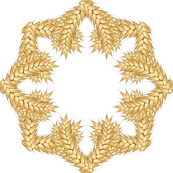 小麦 PNG免抠图透明素材 16设计网编号:36380