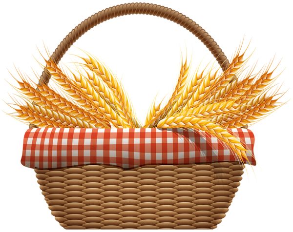 小麦 PNG免抠图透明素材 16设计网编号:36381